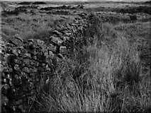 SS8692 : Farm Wall by Jamie Murphy