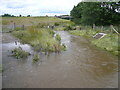 Avenue Washlands Nature Reserve