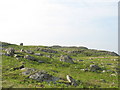 The ruins of Castell Carndochan