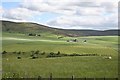 View from Mains of Clunymore