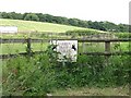 View across the paddocks at Warren Farm Stables