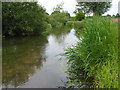 The River Wylye