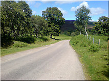 NC9818 : The A897 towards Helmsdale by Chris S