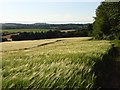 Farmland, Cholderton