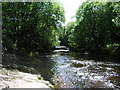 River Tame