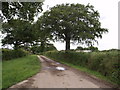 SS6011 : Farm road to Durdon by Derek Harper