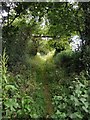 Footpath on old trackway across the spine of Barrow Hill