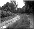 Kennet and Avon Canal, Limpley Stoke: canal bed under repair