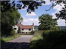 ST3311 : Cottage at Clayhanger Common by Derek Harper