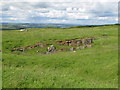 Old quarries in Keenley