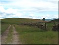 East from Wester Lundie