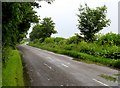 Pottergate Road towards Wellingore