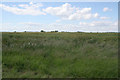 Farmland off Rotton Row