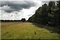 Bridleway to Lakenheath Warren