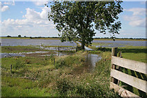 TF4287 : Flooding at Dowsey Fen by Kate Jewell