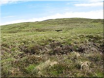 NN6474 : Moors above Dalnaspidal by Richard Webb