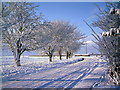 Winter scene on Luddington Road