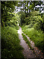 Footpath to Coldrum Long Barrow