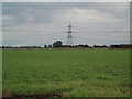 Pylons and Pasture Farm