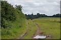 Farm track at Terryhoogan near Scarva