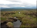 NN8570 : Ridge top bog by Lis Burke