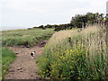 By the Solway Firth south of Dornock