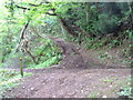 Forest road - footpath junction in Lydart Orles Wood