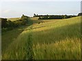 Farmland, Clarendon Park