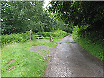 SO6129 : Cattle grid near Lyndor Wood by Pauline E