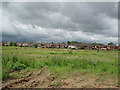 Across the fields to Thorntree