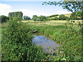 Chitterne Brook