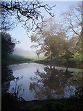 ST7634 : Pond in Six Wells Bottom by Barry Deakin