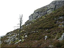 NO0356 : Dead larch and crag, Creag Gharbh by Chris Eilbeck