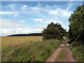 Wheatley Wood Track from Woolley Edge Lane