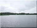 H1851 : Lough Erne at Ely Lodge by Kenneth  Allen