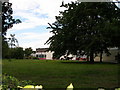 Rabbits graze in the grounds of Egglescliffe C.E. Primary School