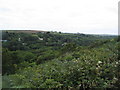 View into Lamorna Valley