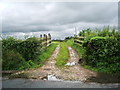 Footpath to Field Foot Farm