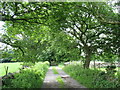 Plas Tirion Drive below St Michael