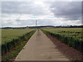 TL1370 : Footpath through farm field by Les Harvey