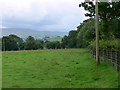 Field in front of farmstead