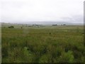 Broughderg Townland