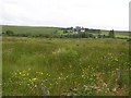 Broughderg Townland