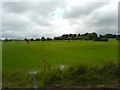 Looking across the fairways at Hart Common Golf Course