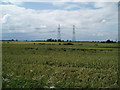 SE8108 : The Wheat fields of Beltoft Grange by Glyn Drury