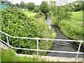 River Gaunless, Bishop Auckland