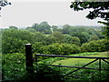 Upper River Valley Of Afon Clydach