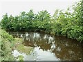 Kirtle Water, view upstream