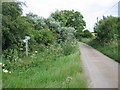 Bridleway and footpath on the lane to Grickstone Farm