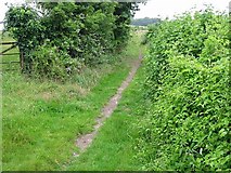 TR2852 : View along footpath at the end of Thornton Lane by Nick Smith